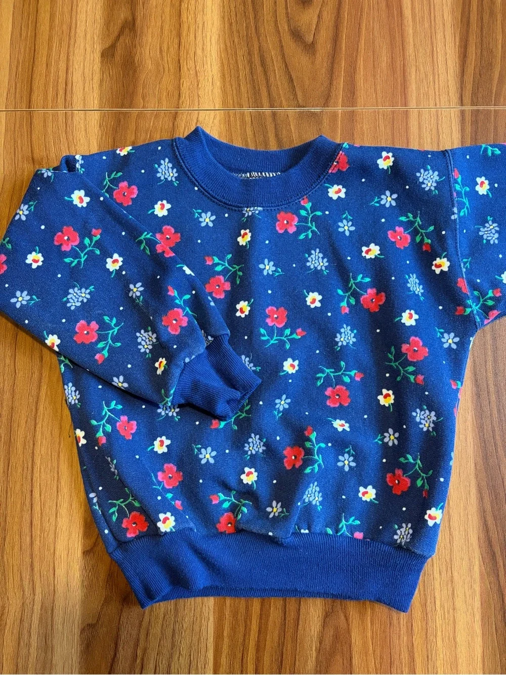 Vintage Mini Dimensions 3Y Sweat Suit